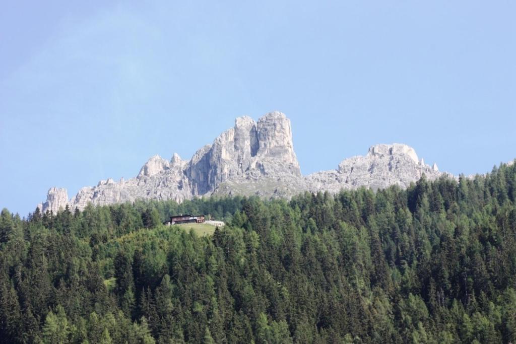 Landhaus Alpensonne Apartment Neustift im Stubaital Exterior photo