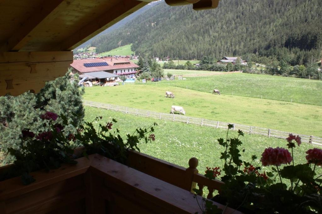 Landhaus Alpensonne Apartment Neustift im Stubaital Exterior photo