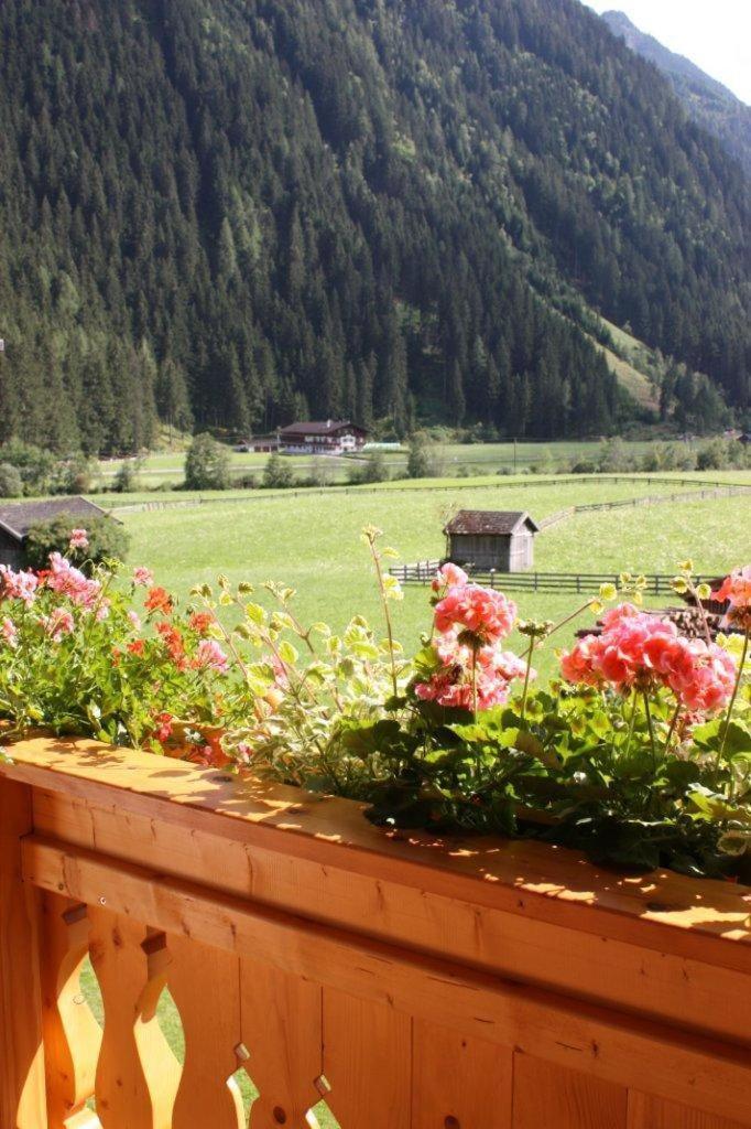 Landhaus Alpensonne Apartment Neustift im Stubaital Exterior photo