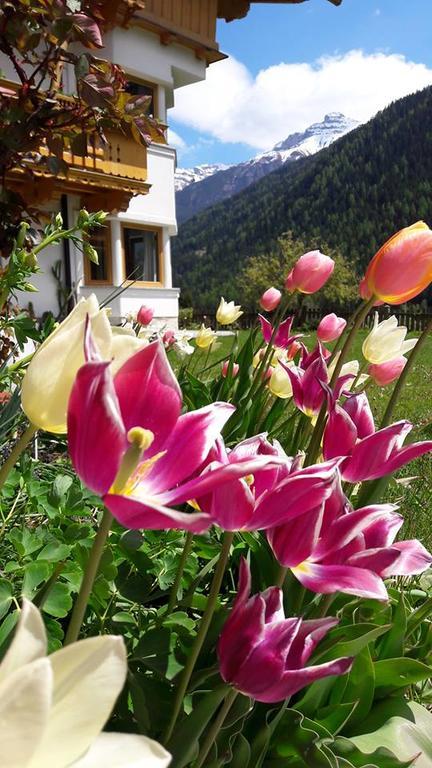 Landhaus Alpensonne Apartment Neustift im Stubaital Exterior photo